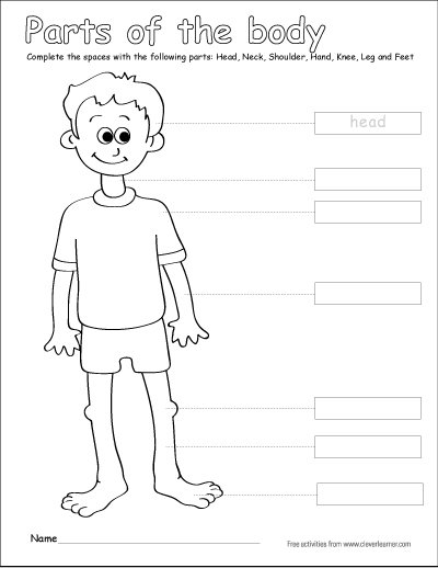 400x518 Label And Color The Parts Of The Human Body