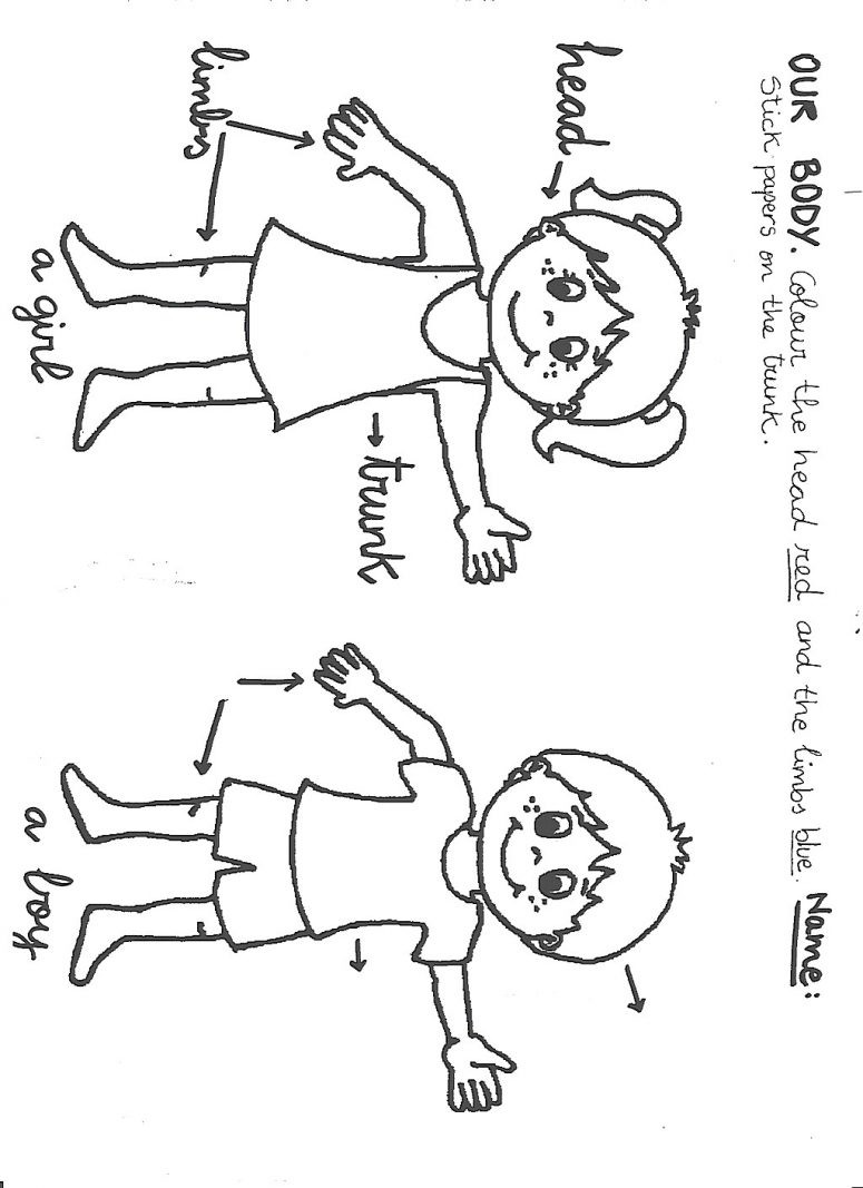 775x1067 Body Parts Coloring Pages For Preschool 17