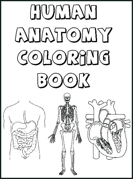 440x594 Body Parts Coloring Pages For Preschool Astonishing Kids Human