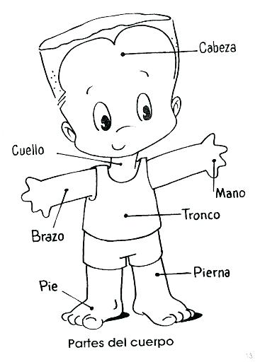 367x512 Body Coloring Pages Body Parts Coloring Pages Body Parts Coloring