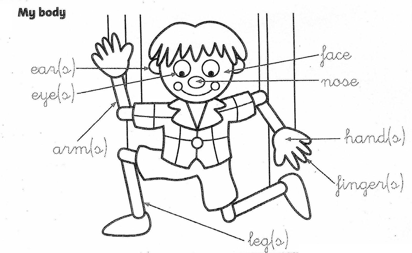 1600x983 Body Parts Coloring Page
