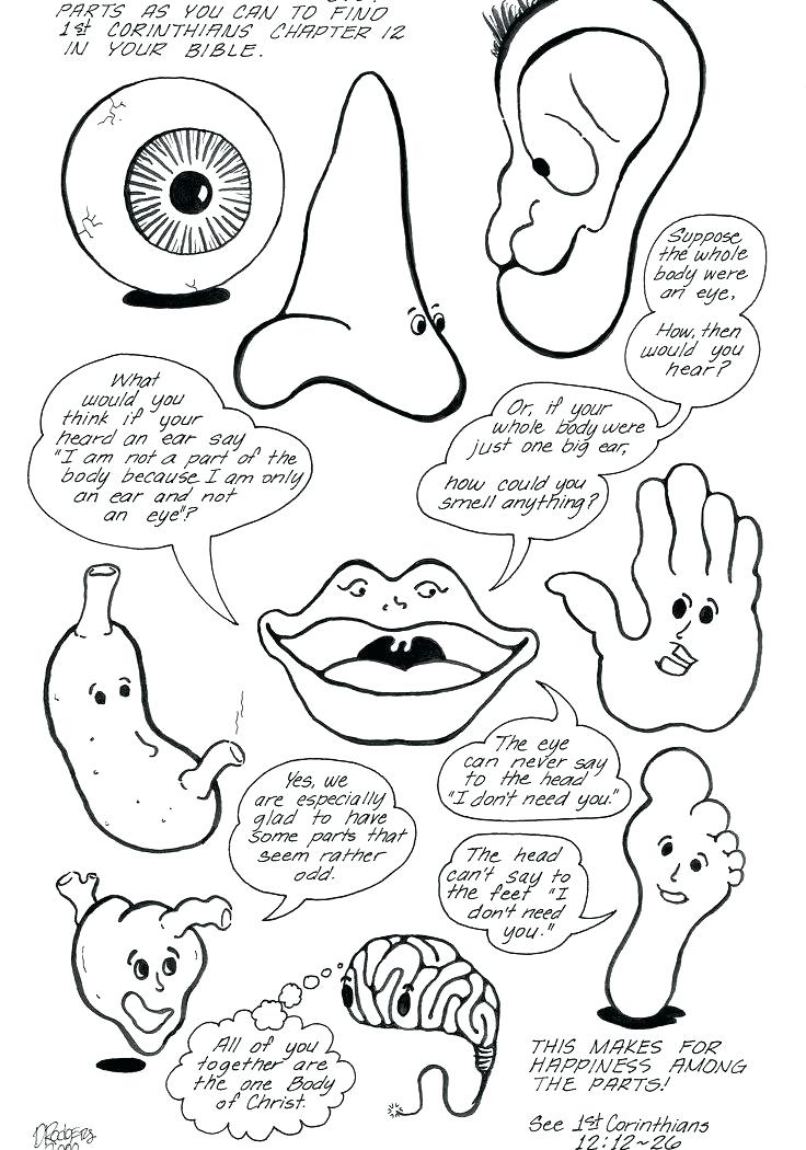736x1050 Body Parts Coloring Pages Click This Size Link Body Parts