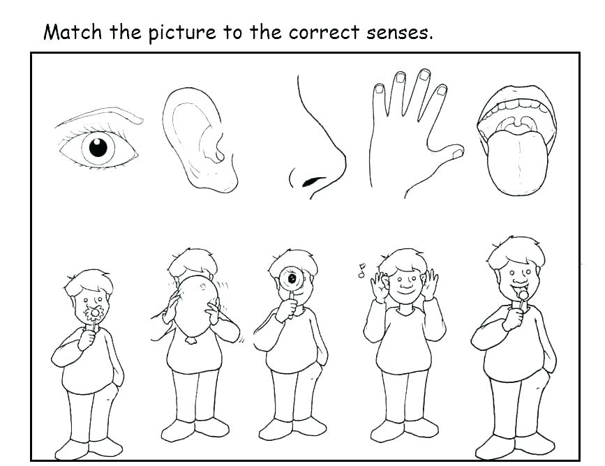 867x668 Parts Of The Body Coloring Pages For Preschool Coloring Page