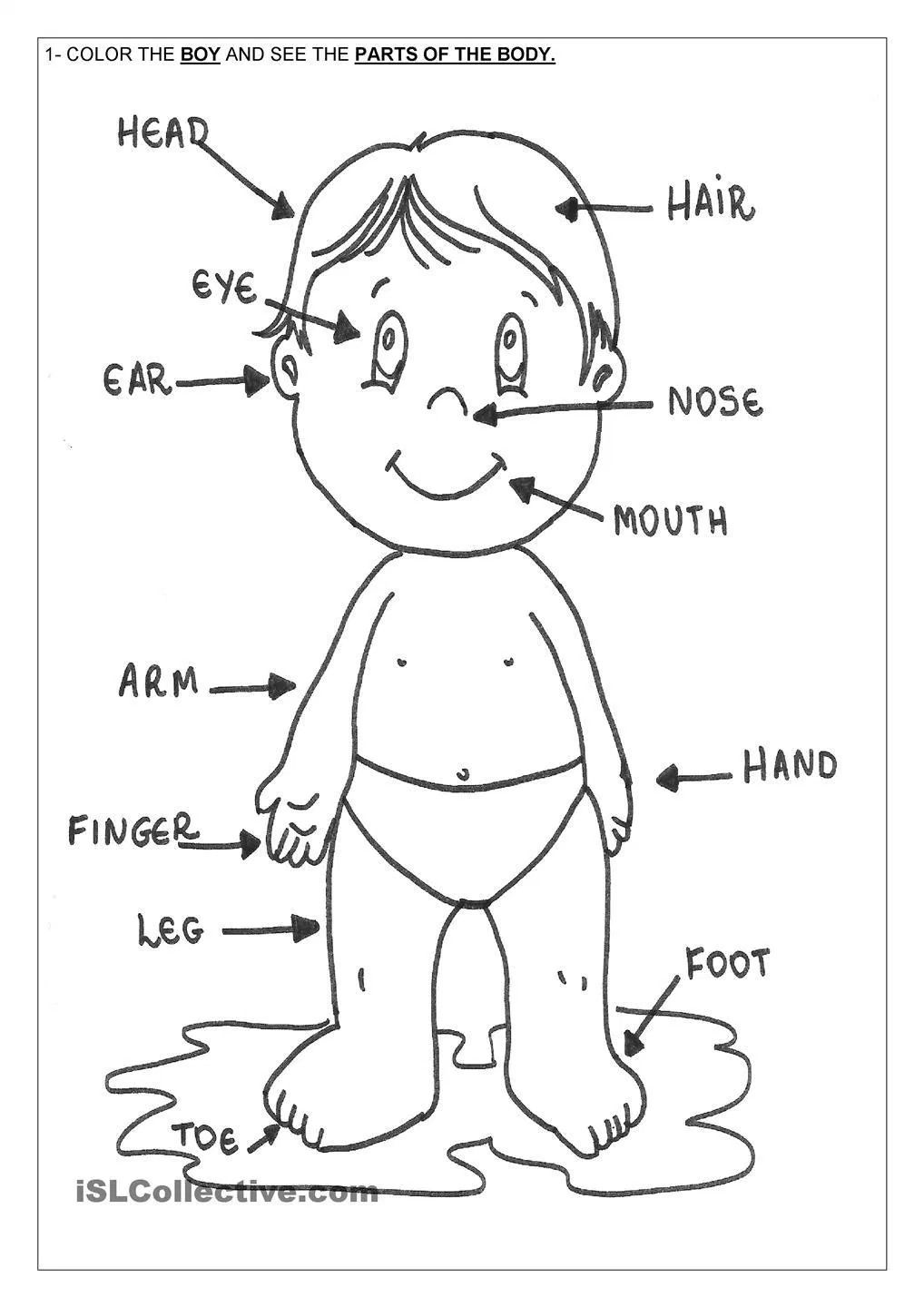 1018x1440 Printable Human Body Coloring Page Home In Pages For Kids Parts