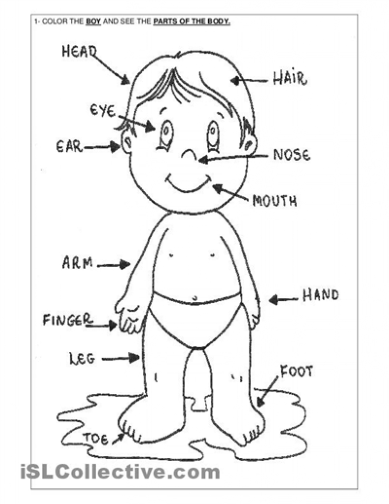 792x1024 Awesome Body Parts Coloring Pages For Preschool Design Free