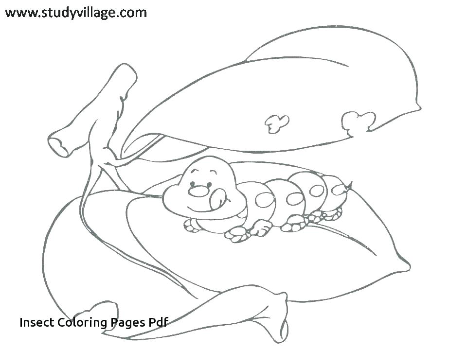 960x720 Insect Coloring Page Insect Coloring Insect Coloring Funny Insects