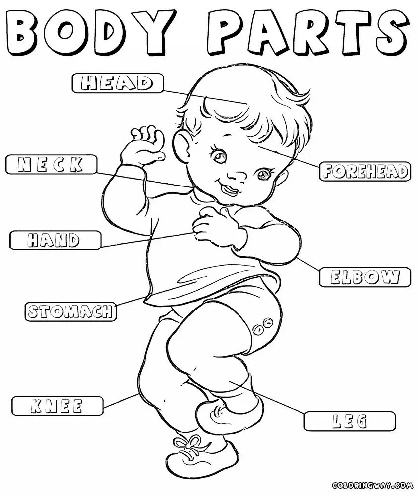 845x1000 Make Your Life Colorful With Printable Coloring Page