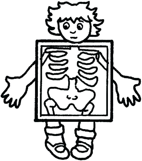 600x682 Digestive System Coloring Page Human Body Systems Coloring Pages