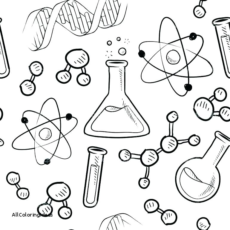 770x770 Human Body Systems Coloring Pages