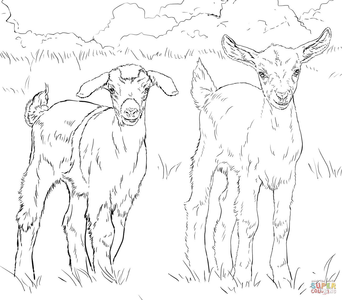 1302x1142 Compromise Boer Goat Coloring Pages Terrific B