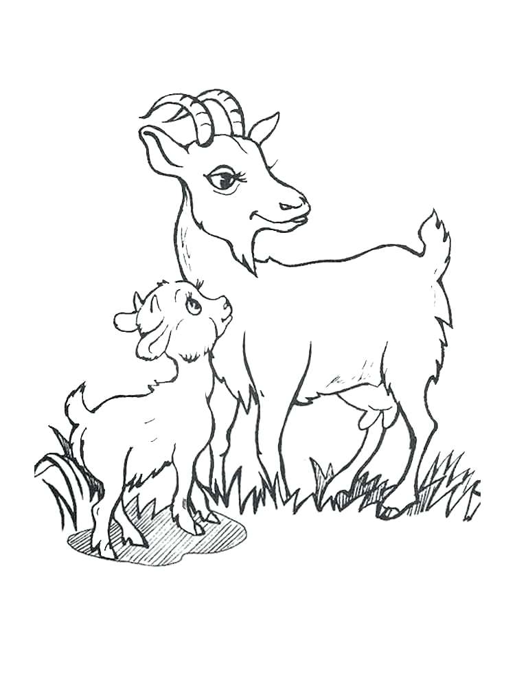 750x1000 Goat Coloring Pages Art And Lore Goat Coloring Page Billy Goat