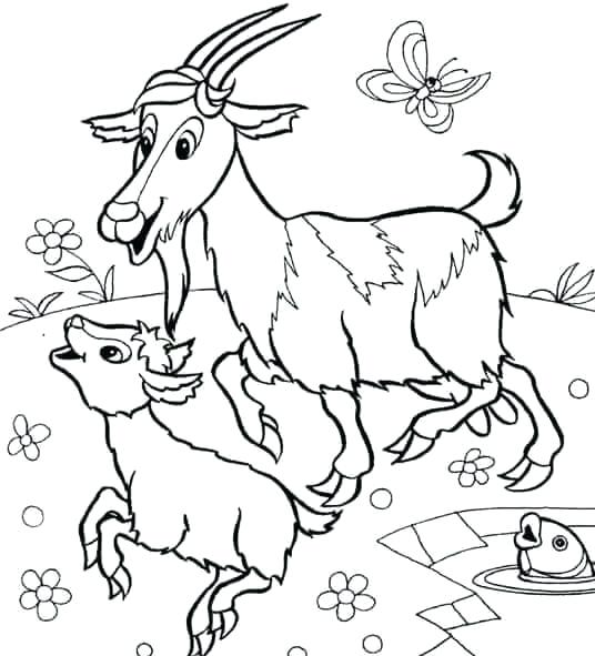 536x591 Goat Coloring Pages Baby Goat Coloring Page Goat Simulator