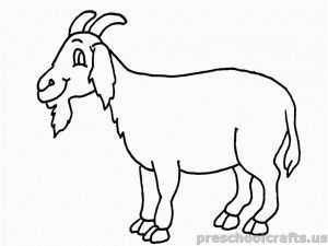 300x225 Goat Coloring Pages For Kids Goats, Free Printable