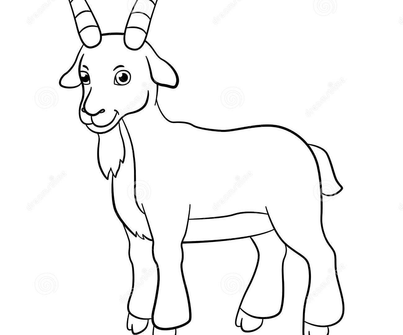 1300x1080 Incredible Rocky Mountain Elk Coloring Page Printable For Animal