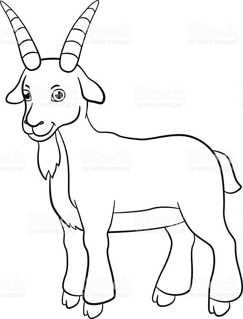 779x1024 Boer Goat Coloring Pages 7376 1300 1390 Sunsun Page Best Mosm