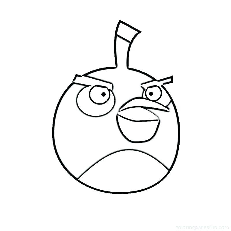 800x800 Angry Birds Bomb Coloring Pages Space To Print Healtylife Club