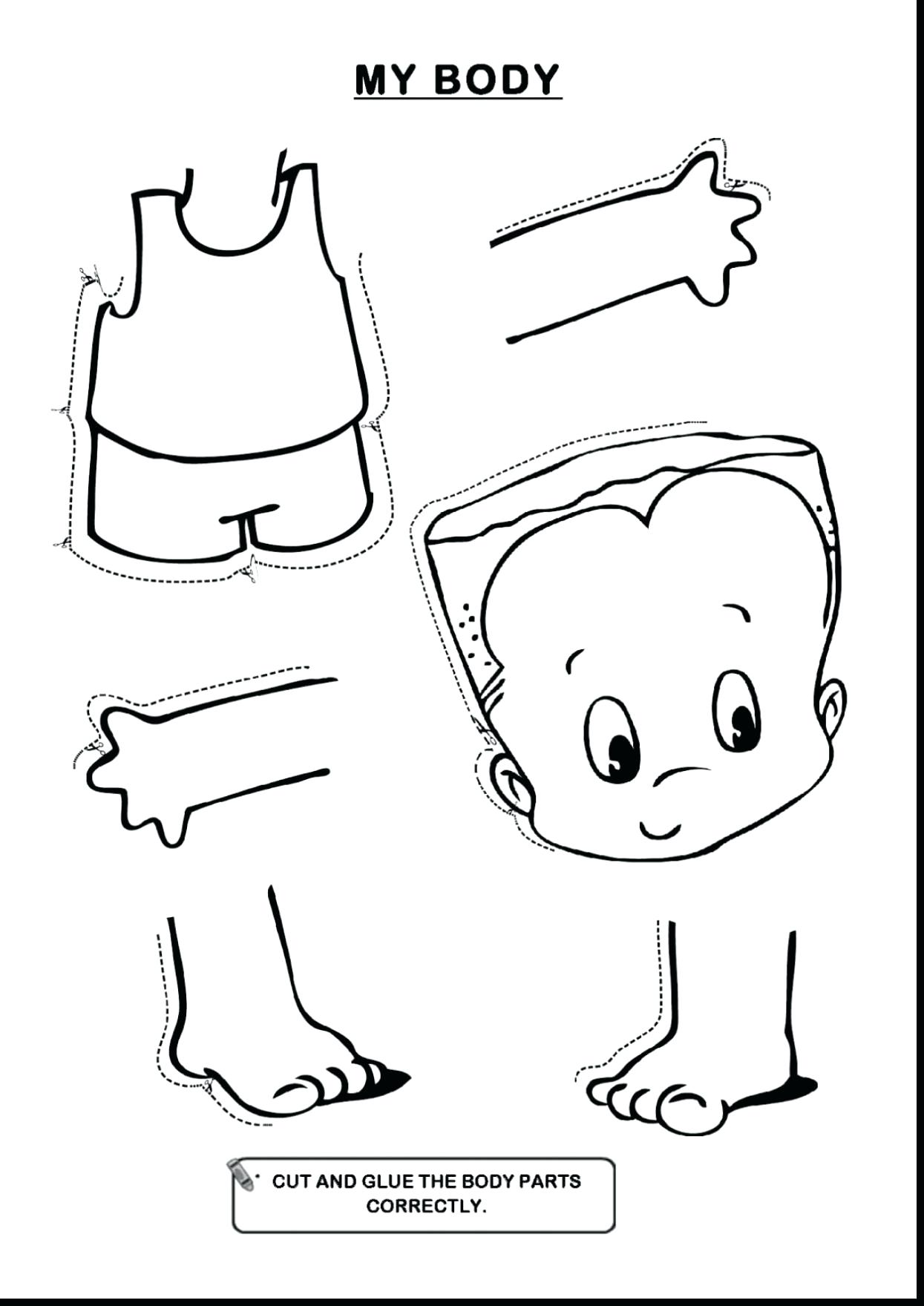 1245x1760 Bones Coloring Pages The Best Human Heart Worksheet Page Printable