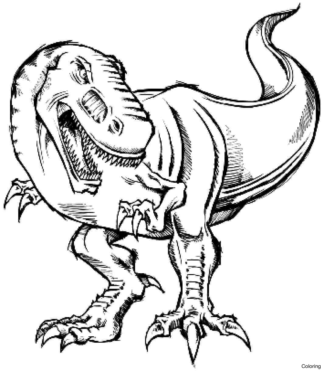 1065x1218 Free T Rex Skeleton Coloring Page Great Pages To Print
