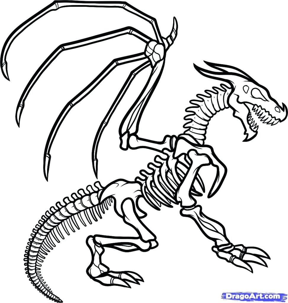 973x1024 Popular Dinosaur Bones Coloring Pages 1288