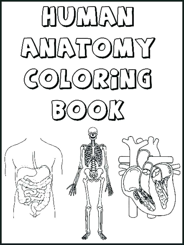 750x1000 Skull Coloring Pages 2 Skull Bones Anatomy Coloring Pages Anatomy
