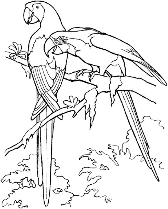 580x721 68 Best Coloring Pages Images On Coloring Books