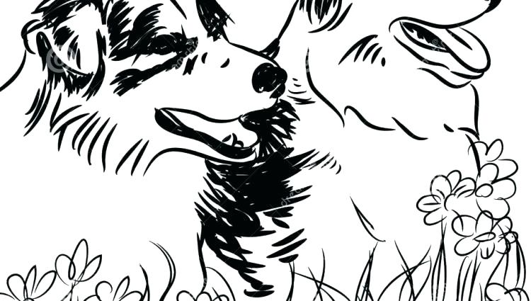 Border Collie Coloring Pages