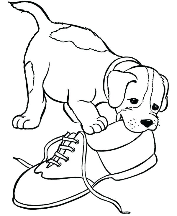 600x734 Coloring Pages Dog Border Collie Coloring Pages Dog With A Blog