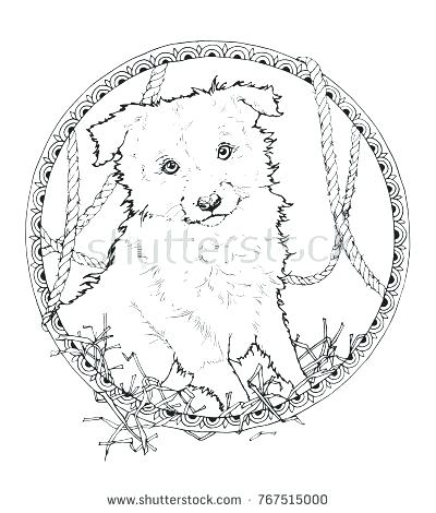 400x470 Border Collie Coloring Pages Border Collie Coloring Pages Rough