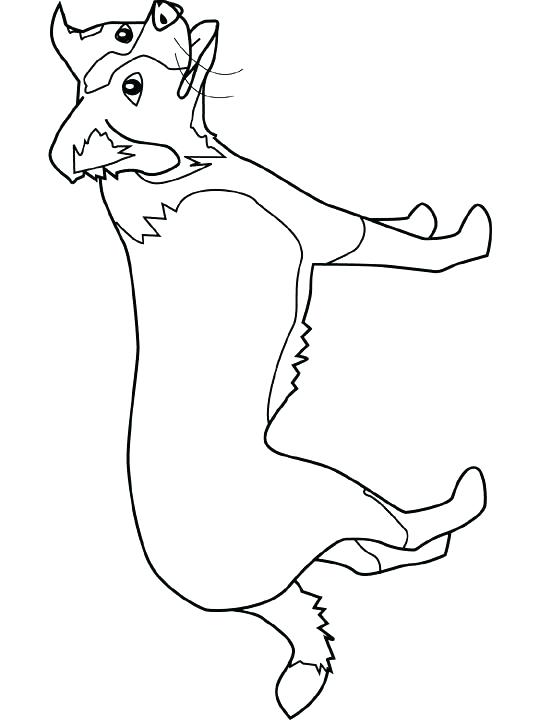 540x720 Border Collie Coloring Pages Collie Animal Coloring Pages Collie