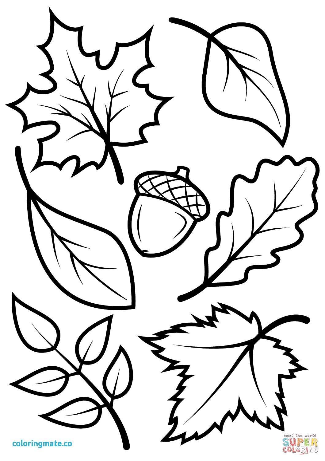 1060x1500 