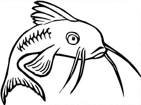 600x447 Catfish Feeling Bored Coloring Pages Catfish Feeling Bored