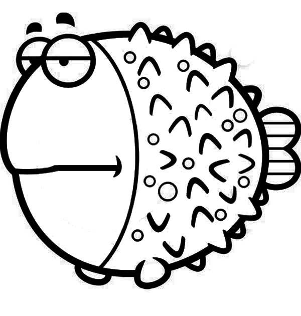 600x630 Puffer Fish Coloring Pages