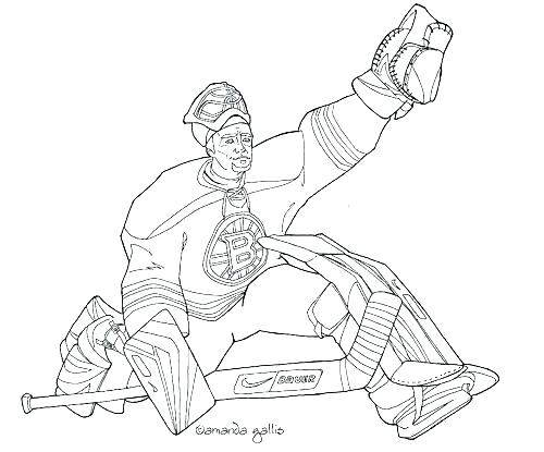 500x415 Boston Bruins Coloring Pages Coloring Pages Of The Red Images