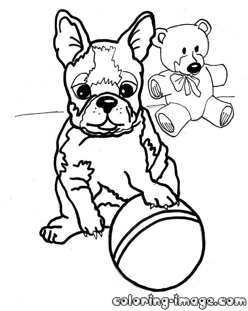 800x1000 Boston Coloring Pages