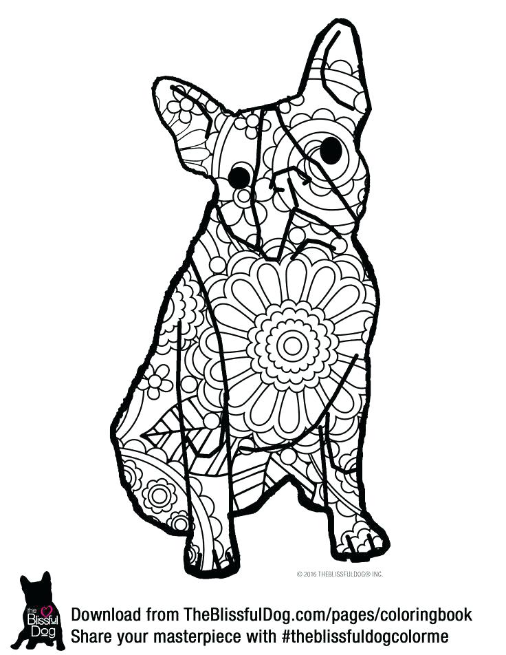 736x952 Boston Massacre Coloring Sheets Terrier Pages Page 2 Book Adult