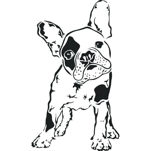 618x618 Boston Terrier Coloring Pages Plus Bulldog 955
