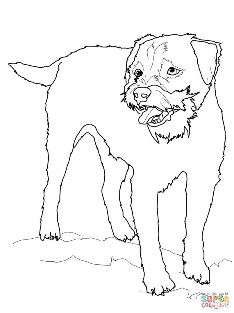 805x1073 Coloring Boston Terrier Coloring Pages Plus Boston Terrier