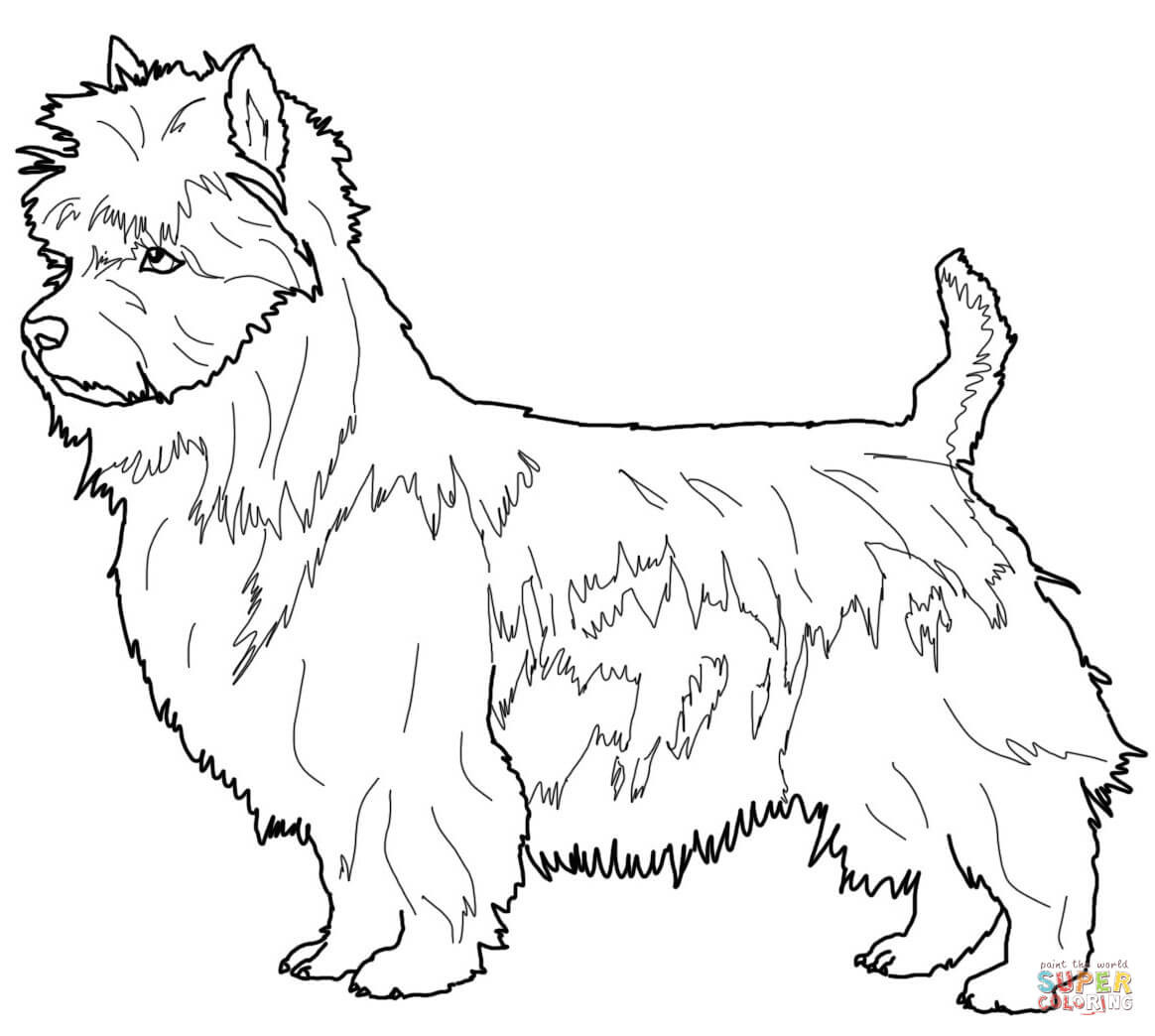 1164x1044 Boston Terrier Coloring Page Elegant Boston Terrier Coloring Page
