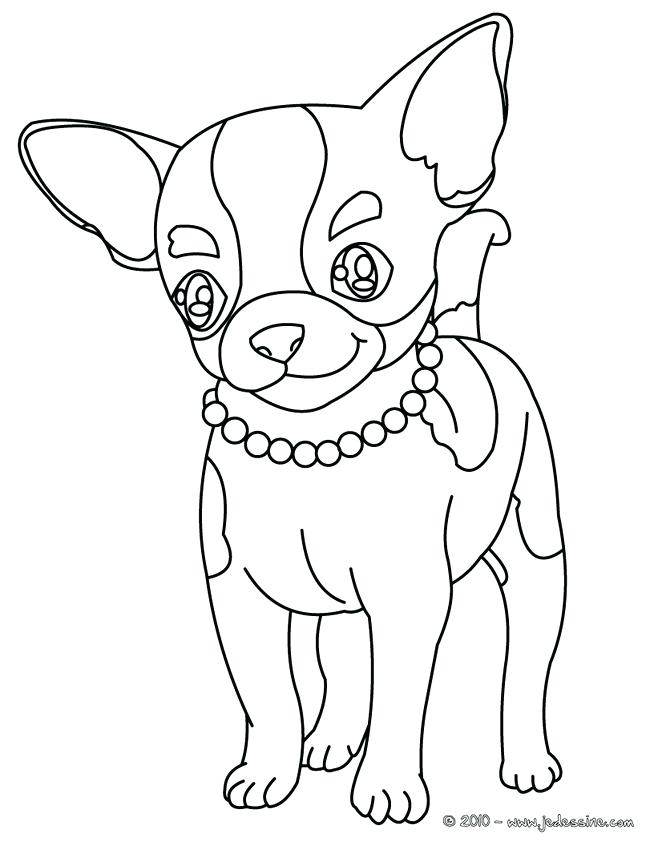 658x850 Boston Terrier Coloring Page Terrier Coloring Pages Free As Well