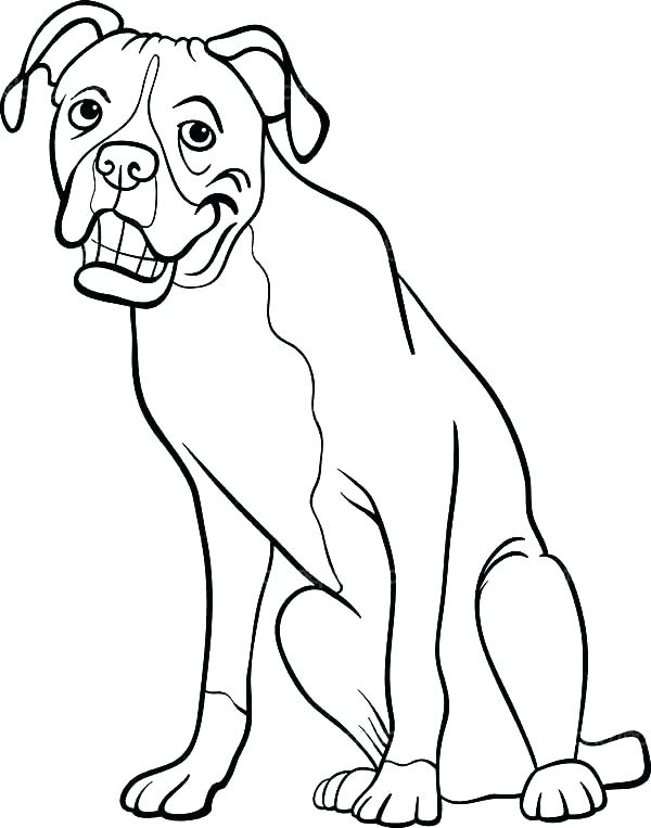600x763 Boston Terrier Coloring Page Terrier Line Art Boston Terrier