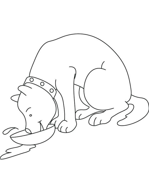 612x792 Milk Coloring Page Dog Drinking Milk Coloring Page Download Free