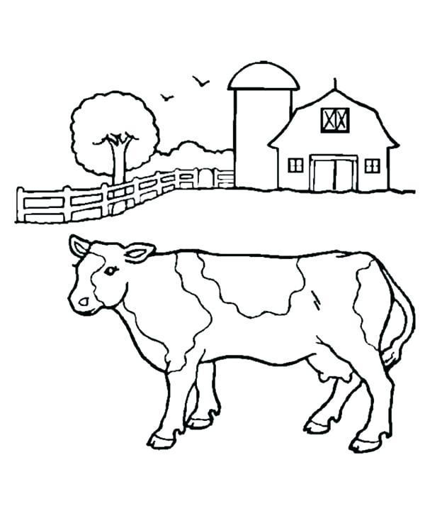 600x734 Milk Coloring Page Milk Coloring Page Milk Bottle Colouring Page