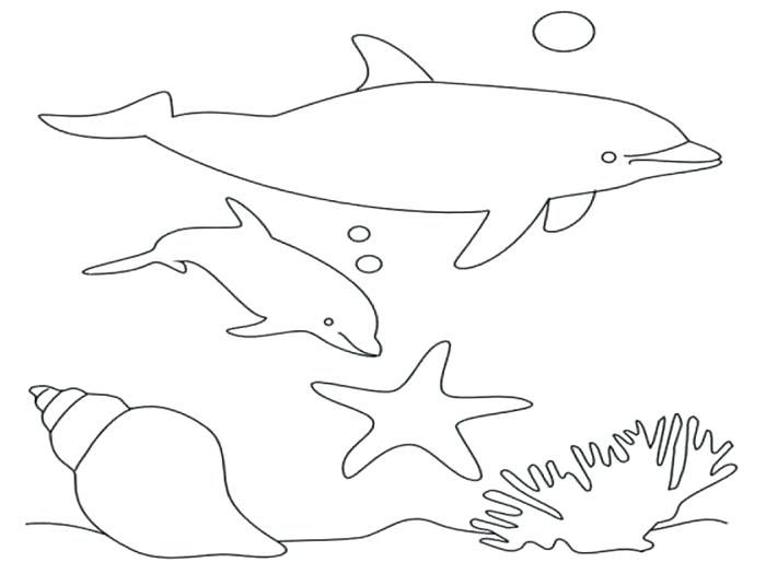 Bottlenose Dolphin Coloring Page