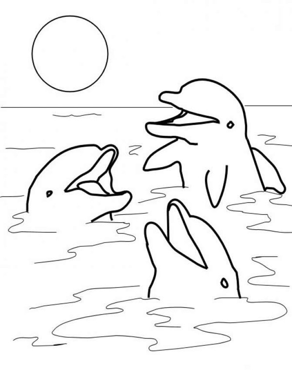 600x760 Dolphin Coloring Page 15 Coloring Page