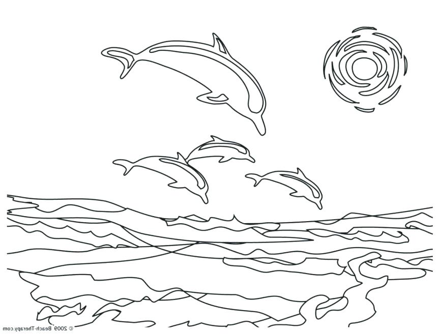 863x657 Dolphin Coloring Pages Coral Reef Fish Dolphin Coloring Dolphin