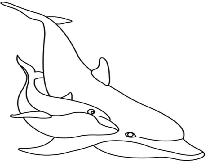 700x531 Dolphin The Fish And Son Coloring Pages