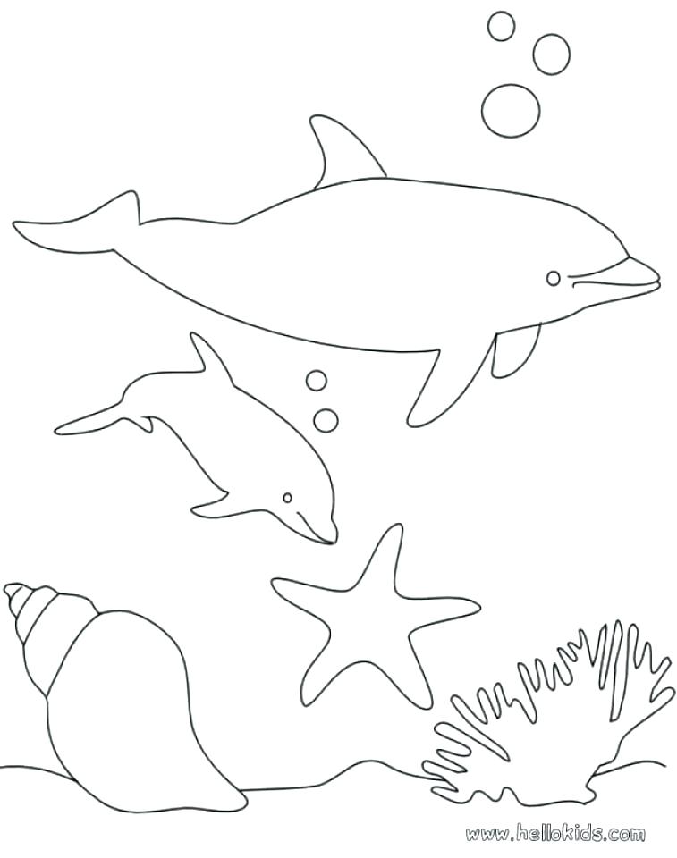 757x960 Dolphins Coloring Pages Cute Dolphin Coloring Pages Playful