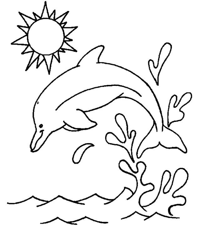 646x785 Dolphins Coloring Page 8