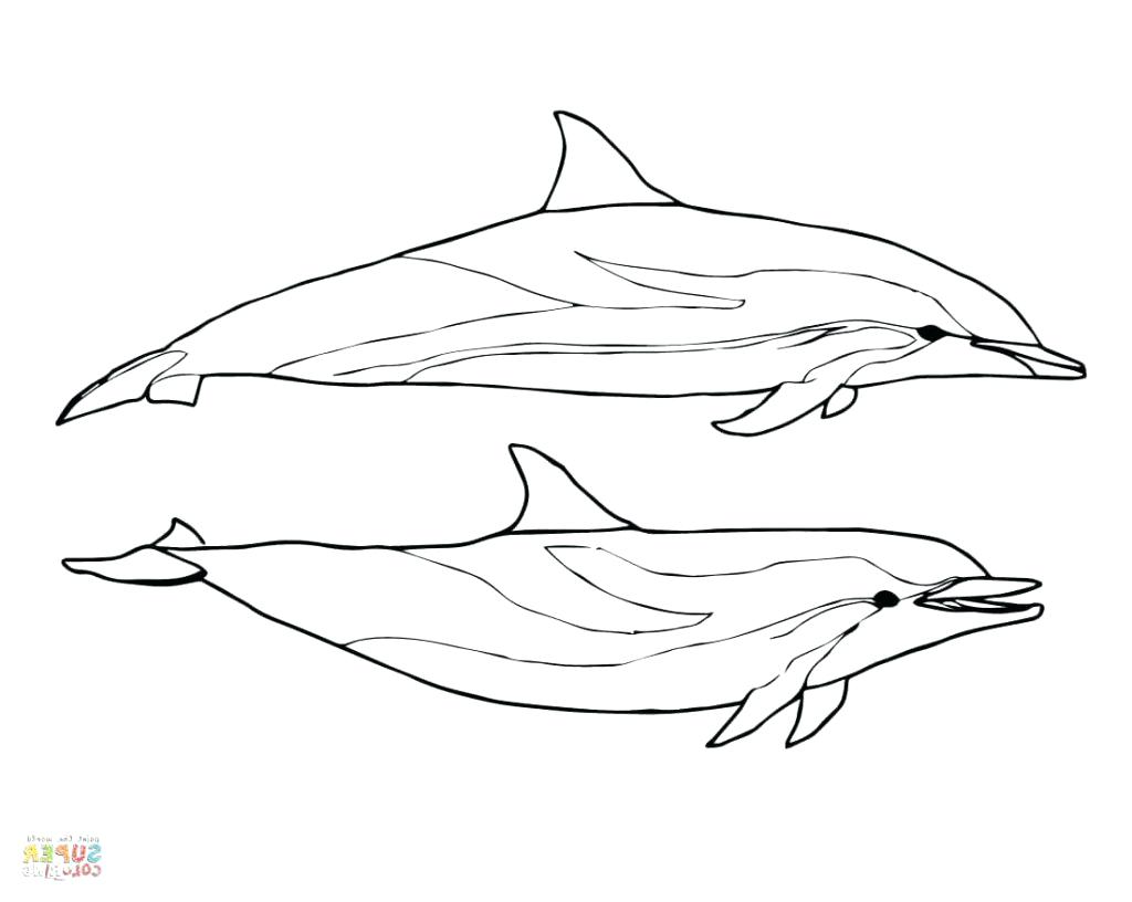 1024x816 Excellent Miami Dolphins Coloring Pages Preschool For Beatiful