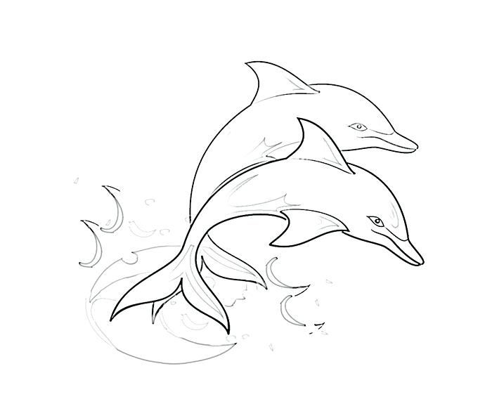 700x585 Bottlenose Dolphin Coloring Page Pencari.co